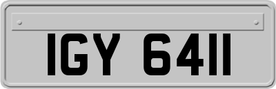 IGY6411