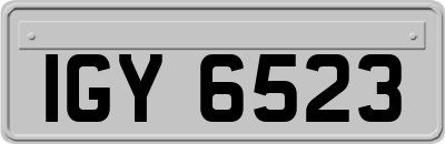 IGY6523