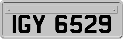 IGY6529