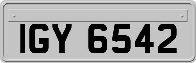IGY6542