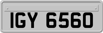 IGY6560