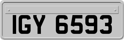 IGY6593