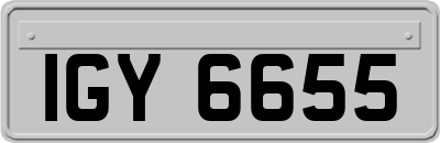 IGY6655