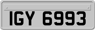 IGY6993