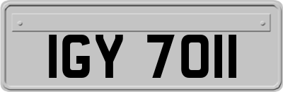 IGY7011
