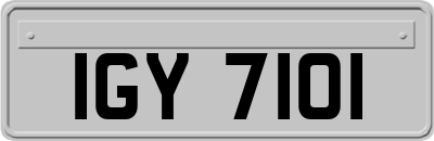 IGY7101