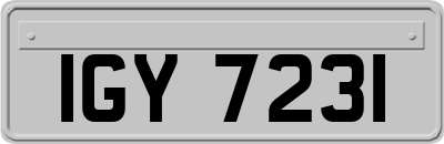 IGY7231