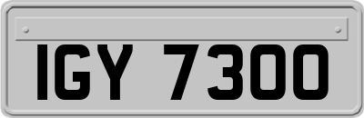 IGY7300
