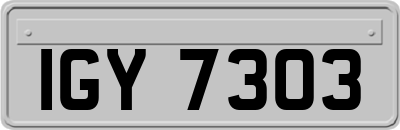 IGY7303