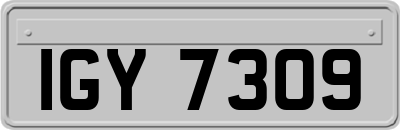 IGY7309