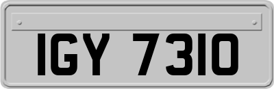 IGY7310