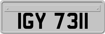 IGY7311