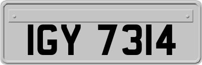 IGY7314
