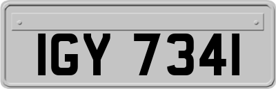 IGY7341