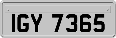 IGY7365