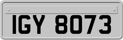 IGY8073