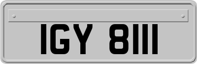 IGY8111