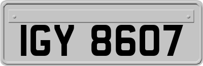 IGY8607