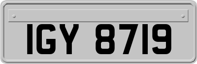 IGY8719