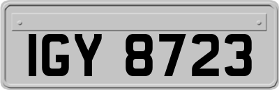 IGY8723