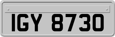 IGY8730