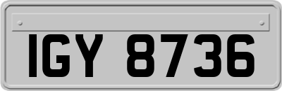 IGY8736
