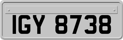 IGY8738