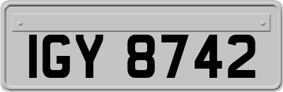 IGY8742