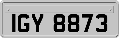IGY8873