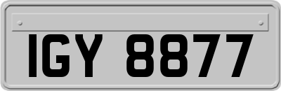 IGY8877