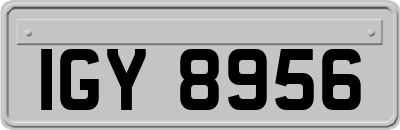 IGY8956