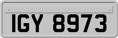 IGY8973