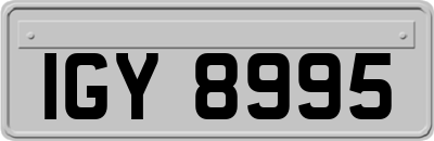 IGY8995