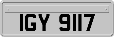 IGY9117