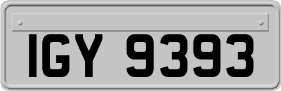 IGY9393