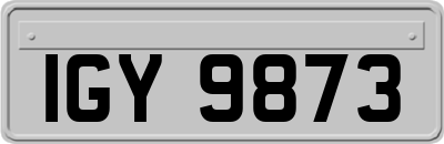 IGY9873
