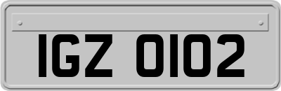 IGZ0102
