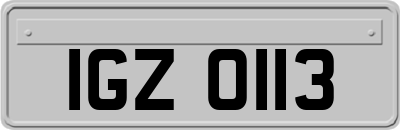 IGZ0113