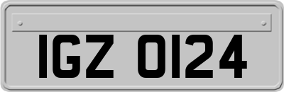 IGZ0124