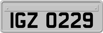 IGZ0229