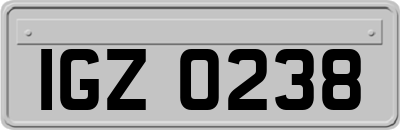 IGZ0238