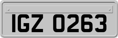 IGZ0263
