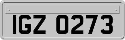 IGZ0273