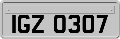 IGZ0307