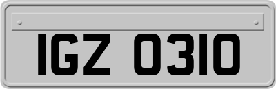 IGZ0310