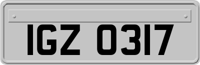 IGZ0317