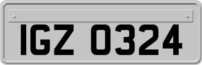 IGZ0324
