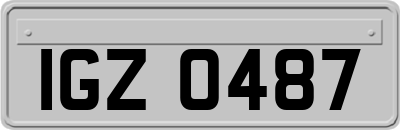 IGZ0487