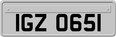 IGZ0651