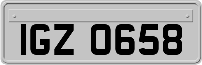 IGZ0658